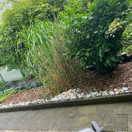 Schoene Mit Terrasse, Nur 2 Minuten Zur Autobahn