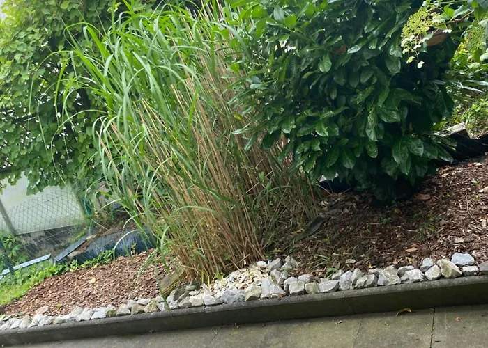 Schoene Mit Terrasse, Nur 2 Minuten Zur Autobahn